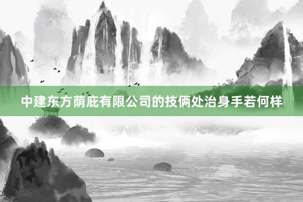 中建东方荫庇有限公司的技俩处治身手若何样