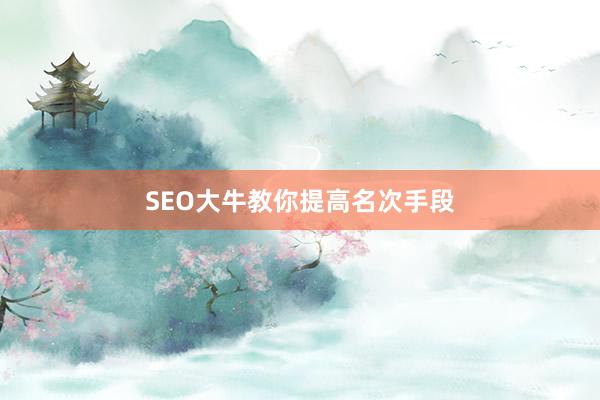 SEO大牛教你提高名次手段